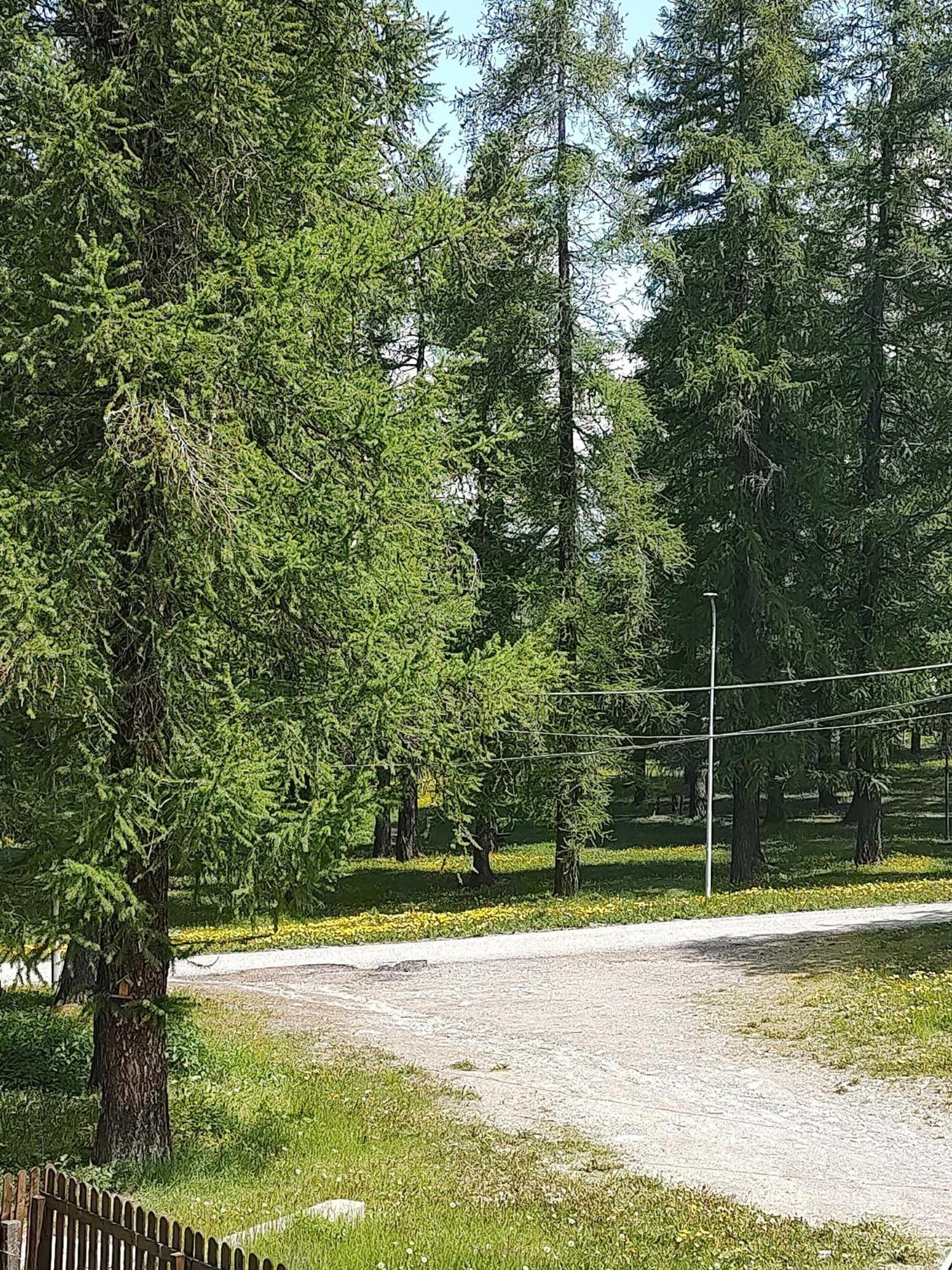 Montagna Che Passione Chiomonte Exterior foto
